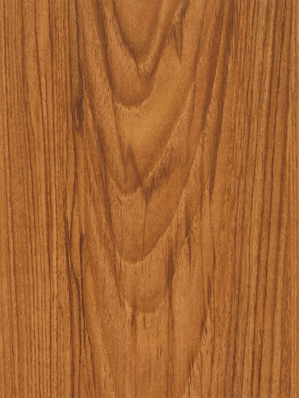 Tiger Floor No.2056