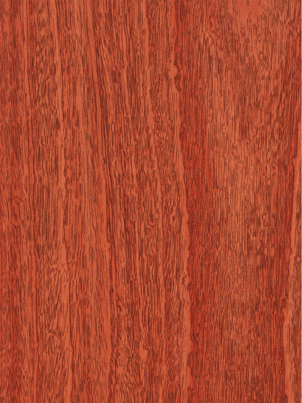 Tiger Floor No.3158