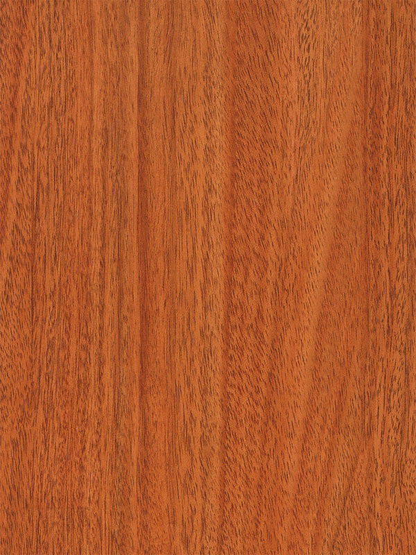 Tiger Floor No.3365