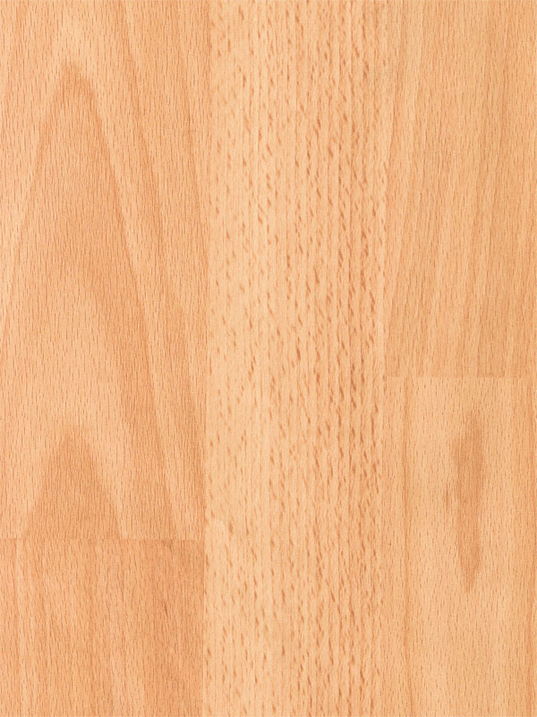 Tiger Floor No.6017