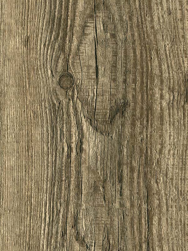 Tiger Floor No.H1735-1