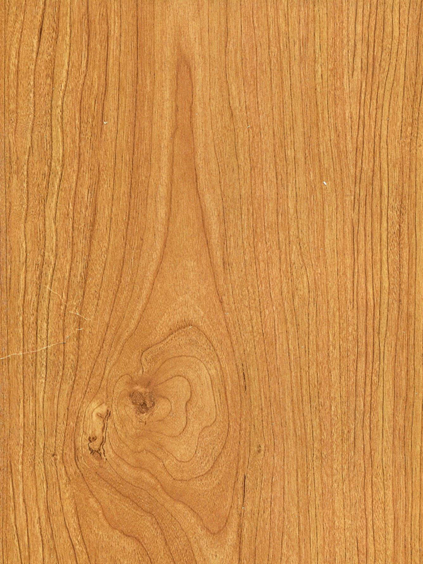 Tiger Floor No.H4726